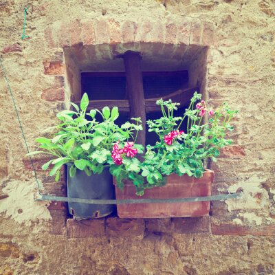 Papier peint  Vieux mur