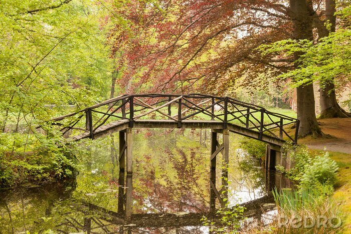 Papier peint  Vieux pont forêt