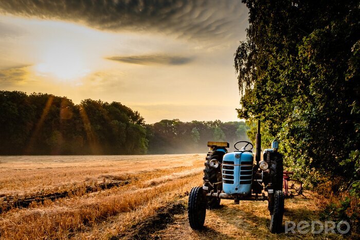 Papier peint  Vieux tracteur dans un champ un matin d'été avec le soleil qui se lève