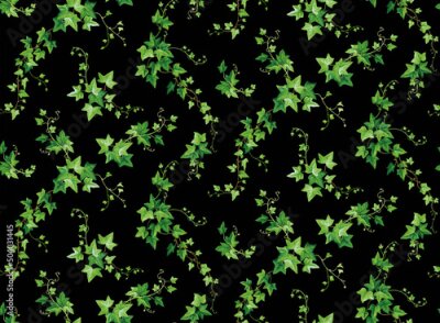 Papier peint  Vignes de lierre sombre