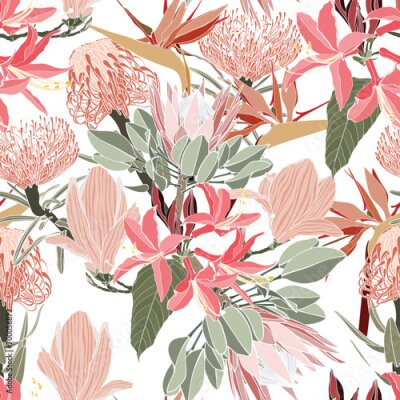 Papier peint  Vintage african seamless pattern.Tropical flowers background. Banksia, protea, strelitzia and leaves line illustration.