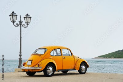 Papier peint  Vintage coléoptère debout sur le quai