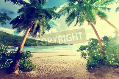 Papier peint  Vintage tropiques et plage