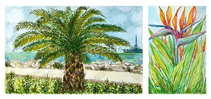 Papier peint  Vintage watercolor postcard with palm tree and strelitzia. Tourism and travel, vacation at the sea.