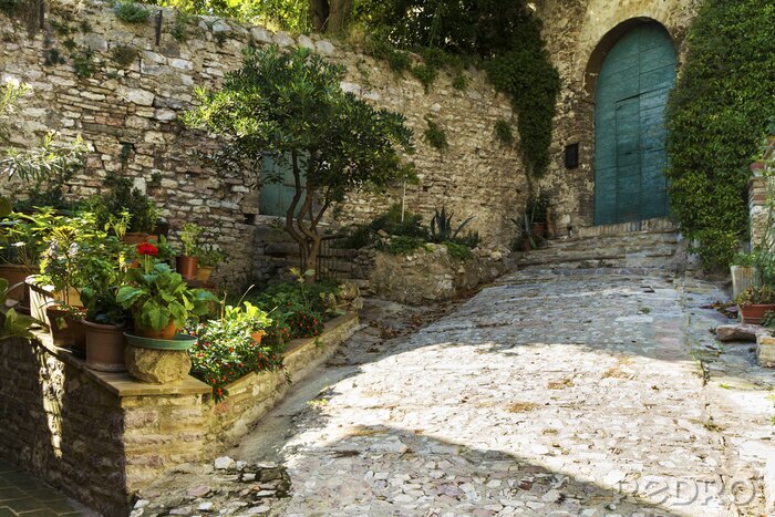 Papier peint  Voie d'accès escarpée sous le soleil Toscane