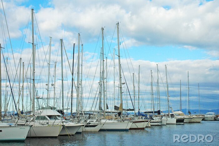 Papier peint  Voiliers amarrée dans le port