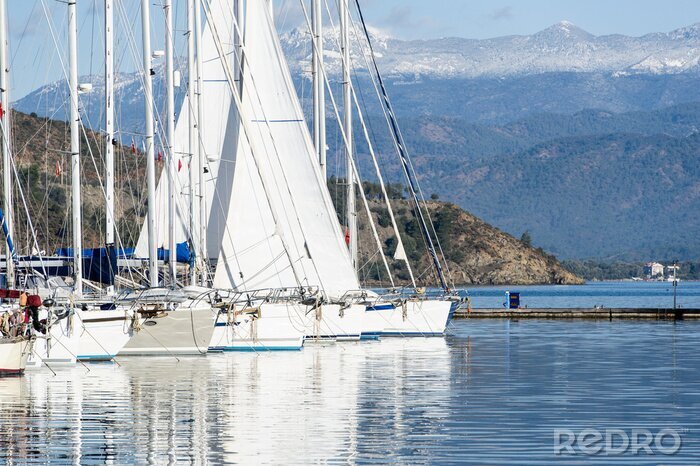Papier peint  Voiliers amarrés