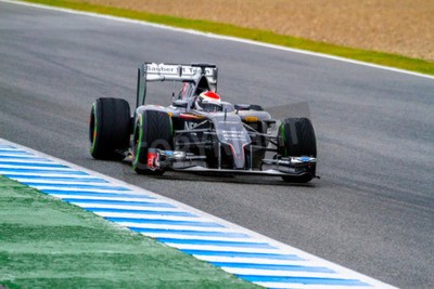 Papier peint  Voiture F1 course d'entraînement