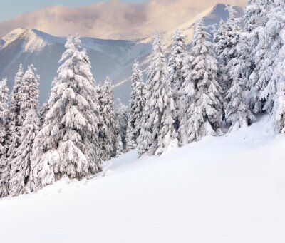 Papier peint  Vue d'hiver dans les montagnes