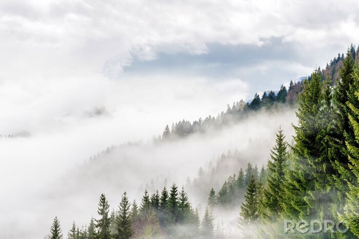 Papier peint  Vue de montagne dans le brouillard