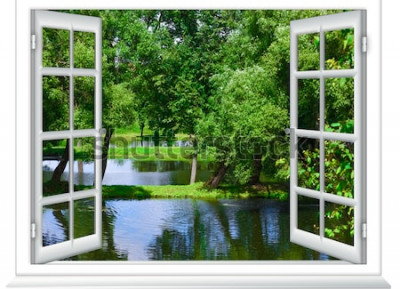 Papier peint  Vue depuis la fenêtre dans l'étendue d'eau et l'arbre en été