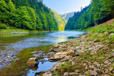 Papier peint  Vue des gorges de la rivière Dunajec