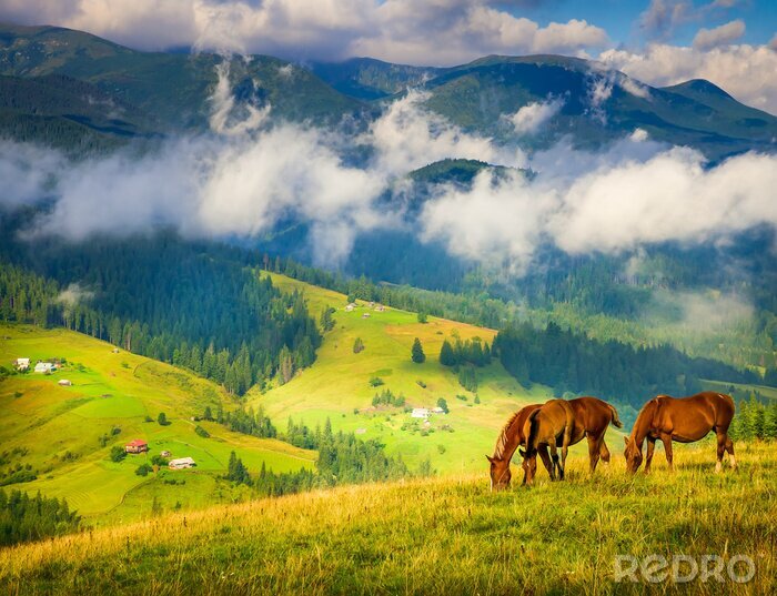 Papier peint  Vue idyllique sur les montagnes et les chevaux