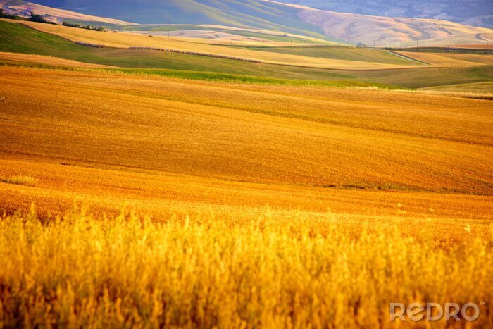Papier peint  Vue panoramique de paysage de la Toscane, en Italie. La nature de fond