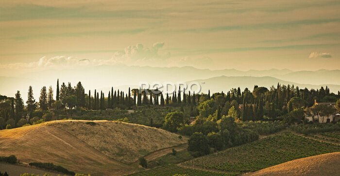 Papier peint  Vue panoramique des collines de San Gimignano en Toscane