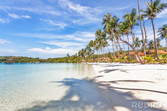 Papier peint  Vue sur la plage tropicale et la mer