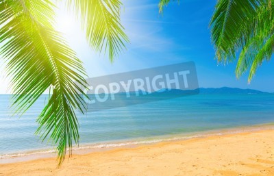 Papier peint  Vue sur les tropiques et l'océan