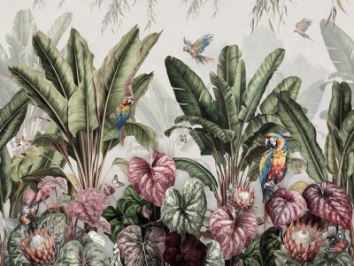 Papier peint  Wallpaper Prints - Tropical Banana Palms In Landscape With Macaws And Butterflies Painted Vintage Style With white Background