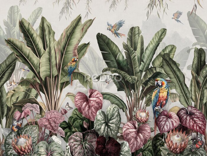 Papier peint  Wallpaper Prints - Tropical Banana Palms In Landscape With Macaws And Butterflies Painted Vintage Style With white Background