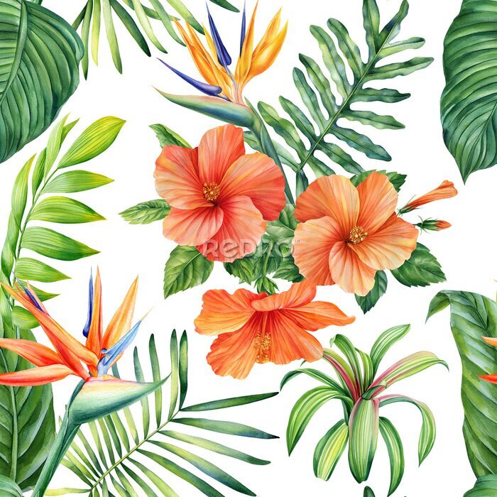 Papier peint  Wallpaper tropical palm leaves, strelitzia bird of paradise flowers, watercolor botanical seamless pattern