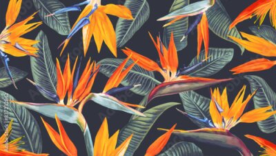 Papier peint  Wallpaper with realistic vector Strelitzia for the desktop of computers, laptops, tablets. High detailed bright tropical flowers with leaves for your design, posters and banners and social media posts