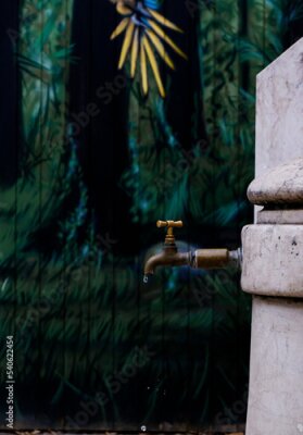 Papier peint  water pipe, strelitzia