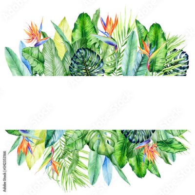 Papier peint  Watercolor arrangement with tropical plants, leaves and strelitzia flowers.  Greenery frames for tropical summer wedding. Great for cards, wedding invites, hawaii birthday and beach party