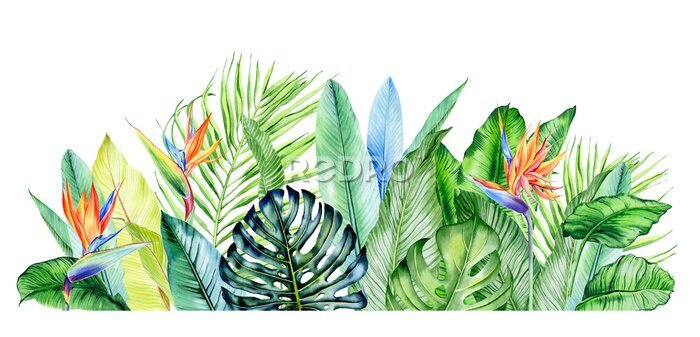 Papier peint  Watercolor arrangement with tropical plants, leaves and strelitzia flowers.  Greenery frames for tropical summer wedding. Great for cards, wedding invites, hawaii birthday and beach party