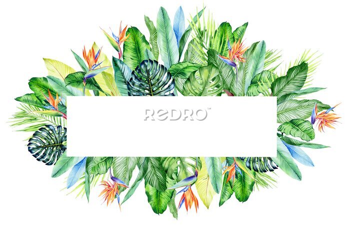 Papier peint  Watercolor arrangement with tropical plants, leaves and strelitzia flowers.  Greenery frames for tropical summer wedding. Great for cards, wedding invites, hawaii birthday and beach party