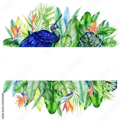 Papier peint  Watercolor arrangements with peackock andtropical plants, leaves and strelitzia flowers.  Greenery frames for tropical summer wedding. Great for cards, wedding invites, hawaii birthday and beach party