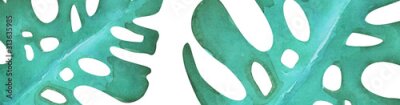 Papier peint  Watercolor banner with tropical leaves monstera in watercolor, botanical painting