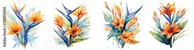 Papier peint  Watercolor bird of paradise , Exotic strelitzia flowers clipart isolated on transparent background