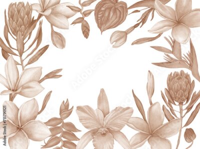 Papier peint  Watercolor Boho Frame of tropical flowers and leaves. Hand drawing palm leaves, monstera, strelitzia, anthurium