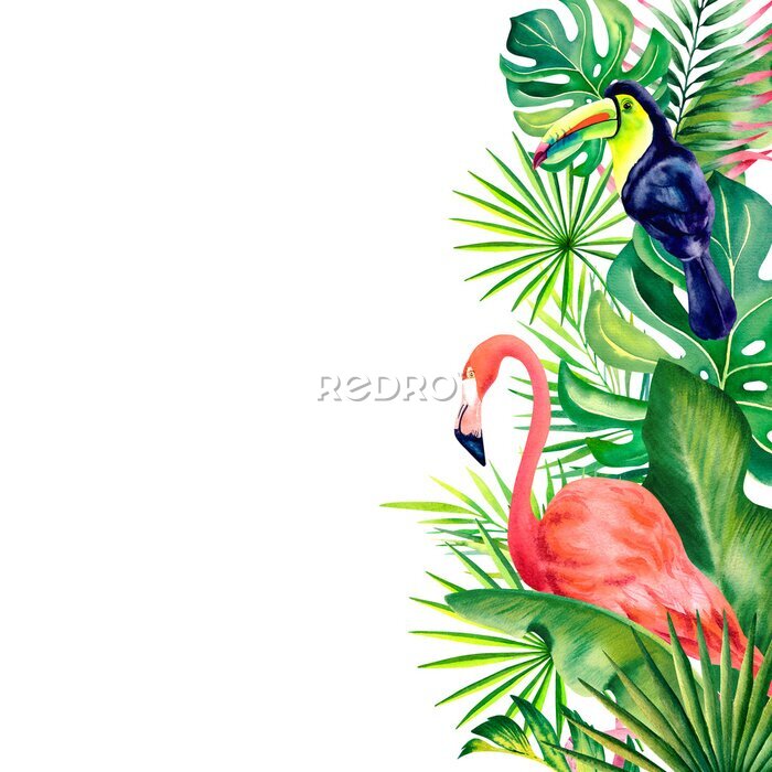 Papier peint  Watercolor border, a frame of tropical leaves, strelitzia flowers, plumeria, flamingos and rainbow toucan birds. Hand-painted tropical plants and birds. Clipart, template for a postcard.