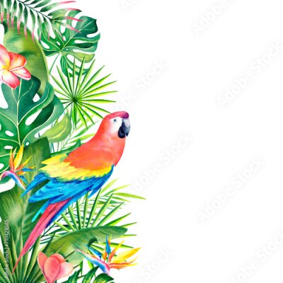 Papier peint  Watercolor border, frame of tropical leaves, strelitzia, plumeria and red macaw. Hand-painted tropical plants and birds. Clipart, a template for a postcard.