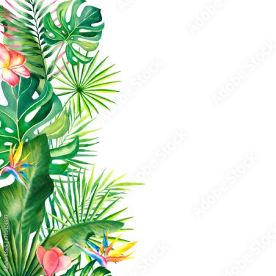 Papier peint  Watercolor border, frame of tropical leaves, strelitzia, plumeria. Hand-painted tropical plants. Clipart, a template for a postcard.