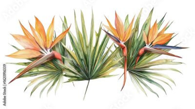 Papier peint  Watercolor botanical frame of fan palm and strelitzia leaves, exotic garden style, isolated on transparent background 