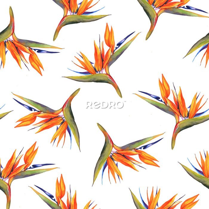 Papier peint  Watercolor botanical pattern. Seamless pattern. Textile design. Wrapping paper, gift wrap. Tropical exotic Strelitzia flower. Orange vibrant tropical flowers. Decor for a summer party.