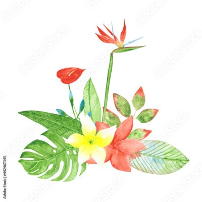 Papier peint  Watercolor bouquet of exotic flowers isolated on a white background. Bird of paradise, strelitzia, monstera, and anthurium for wedding invitation. Hand-drawn tropical floral illustration.
