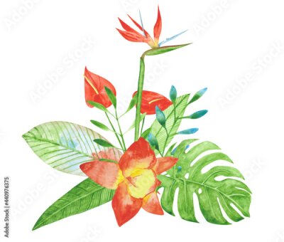Papier peint  Watercolor bouquet of exotic flowers isolated on a white background. Orchid, Bird of paradise, strelitzia, anthurium, and other plants for wedding invitation and more. Hand-drawn floral illustration.