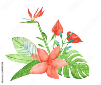 Papier peint  Watercolor bouquet of red exotic flowers isolated on a white background. Bird of paradise, strelitzia, anthurium, monstera, and other flowers for wedding invitation. Hand-drawn floral illustration.