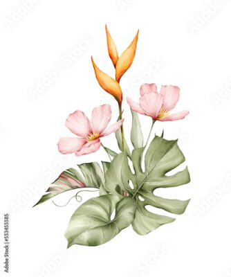 Papier peint  Watercolor bouquet with bright tropical leaves and flowers. Hibiscus, strelitzia, monstera leaf. Jungle floral arrangements. Hand-drawn botany arrangements. Modern tropical isolated elements.