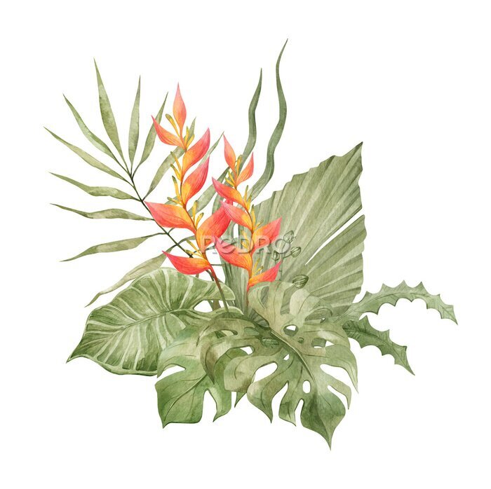 Papier peint  Watercolor bouquet with bright tropical leaves and flowers.  Jungle collection. Flowers and tropical arrangement. Hand drawn botany set. Modern tropical isolated elements.