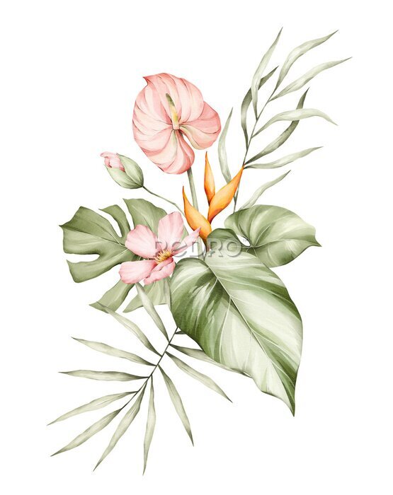 Papier peint  Watercolor bouquet with bright tropical leaves and flowers. Strelitzia, calla lilies, monstera leaf. Jungle floral arrangements. Hand-drawn botany arrangements. Modern tropical isolated elements.