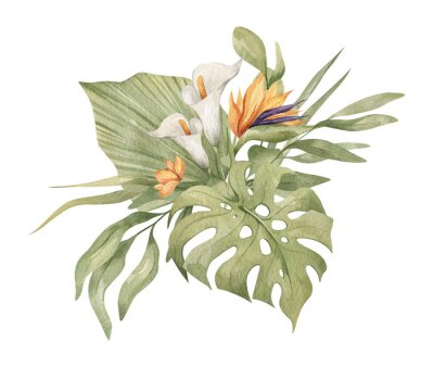 Papier peint  Watercolor bouquet with bright tropical leaves and flowers. Strelitzia, calla lilies, monstera leaf. Jungle floral arrangements. Hand-drawn botany set. Modern tropical isolated elements.