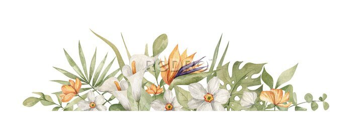 Papier peint  Watercolor bouquet with bright tropical leaves and flowers. Strelitzia, calla lilies, monstera leaf. Jungle floral arrangements. Hand-drawn botany set. Modern tropical isolated elements.