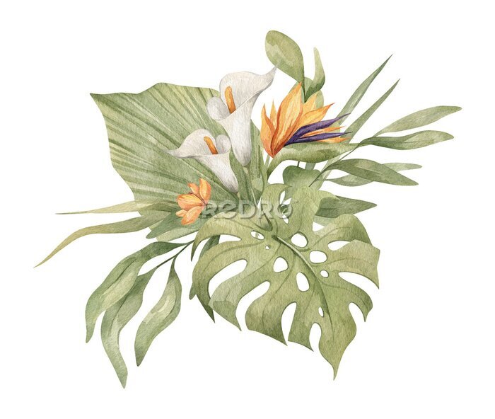 Papier peint  Watercolor bouquet with bright tropical leaves and flowers. Strelitzia, calla lilies, monstera leaf. Jungle floral arrangements. Hand-drawn botany set. Modern tropical isolated elements.