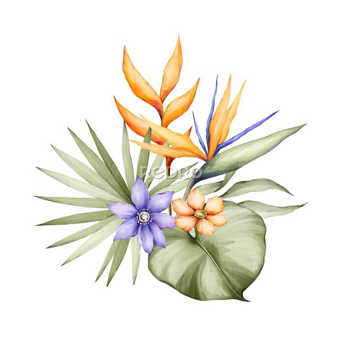 Papier peint  Watercolor bouquet with bright tropical leaves and flowers. Strelitzia, monstera leaf. Jungle floral arrangements. Hand-drawn botany arrangements. Modern tropical isolated elements.