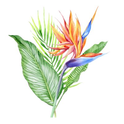 Papier peint  Watercolor bouquets with tropical plants, leaves and strelitzia flowers. Great for valentines, wedding invites, hawaii birthday and beach party