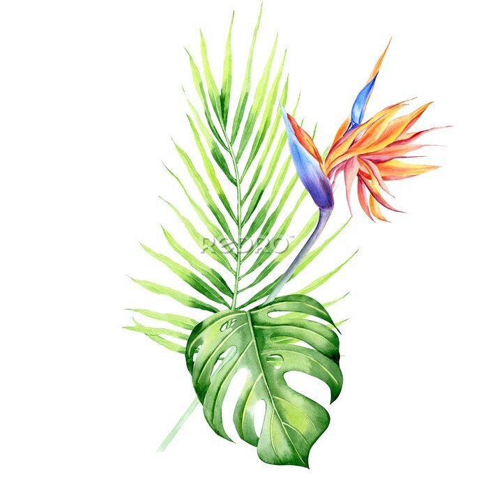 Papier peint  Watercolor bouquets with tropical plants, leaves and strelitzia flowers. Great for valentines, wedding invites, hawaii birthday and beach party